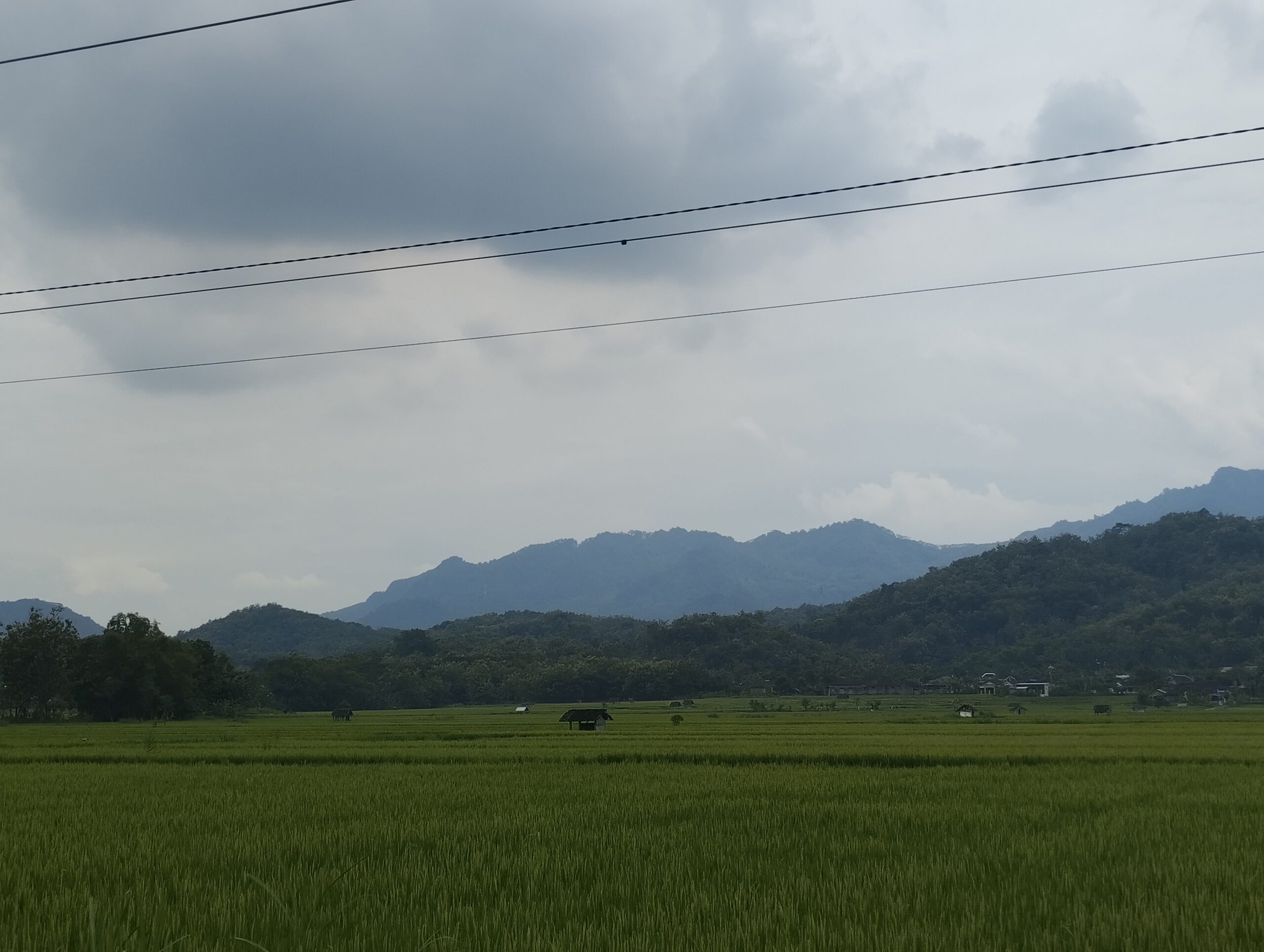 IMG 20230129 131042 scaled