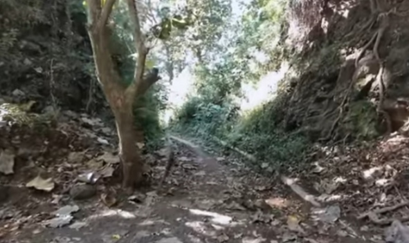 IMG 20230208 060754