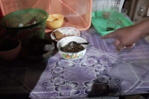 Satu Keluarga Keracunan Makanan, Korban Dilarikan ke RSUD Dr Soedirman Kebumen 2 IMG 20230209 123535