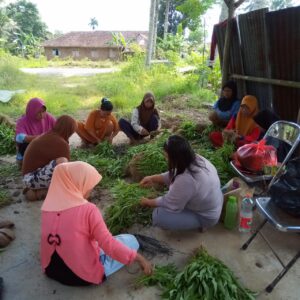 Penanaman Pohon Dan Memanen Tanaman Hasil KWT Pekon Kejayaan Di Hari Jadi Tanggamus 2 IMG 20230317 WA0096