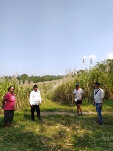 IMG 20230604 WA03721