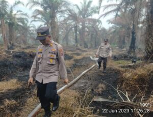 Kapolsek Sei Kepayang Lakukan Pengecekan Titik Api Dari Aplikasi Lancang Kuning 2 IMG 20230622 WA0042