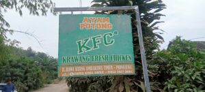 IMG20230607152651 00