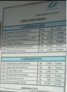 Screenshot 2023 0811 184158