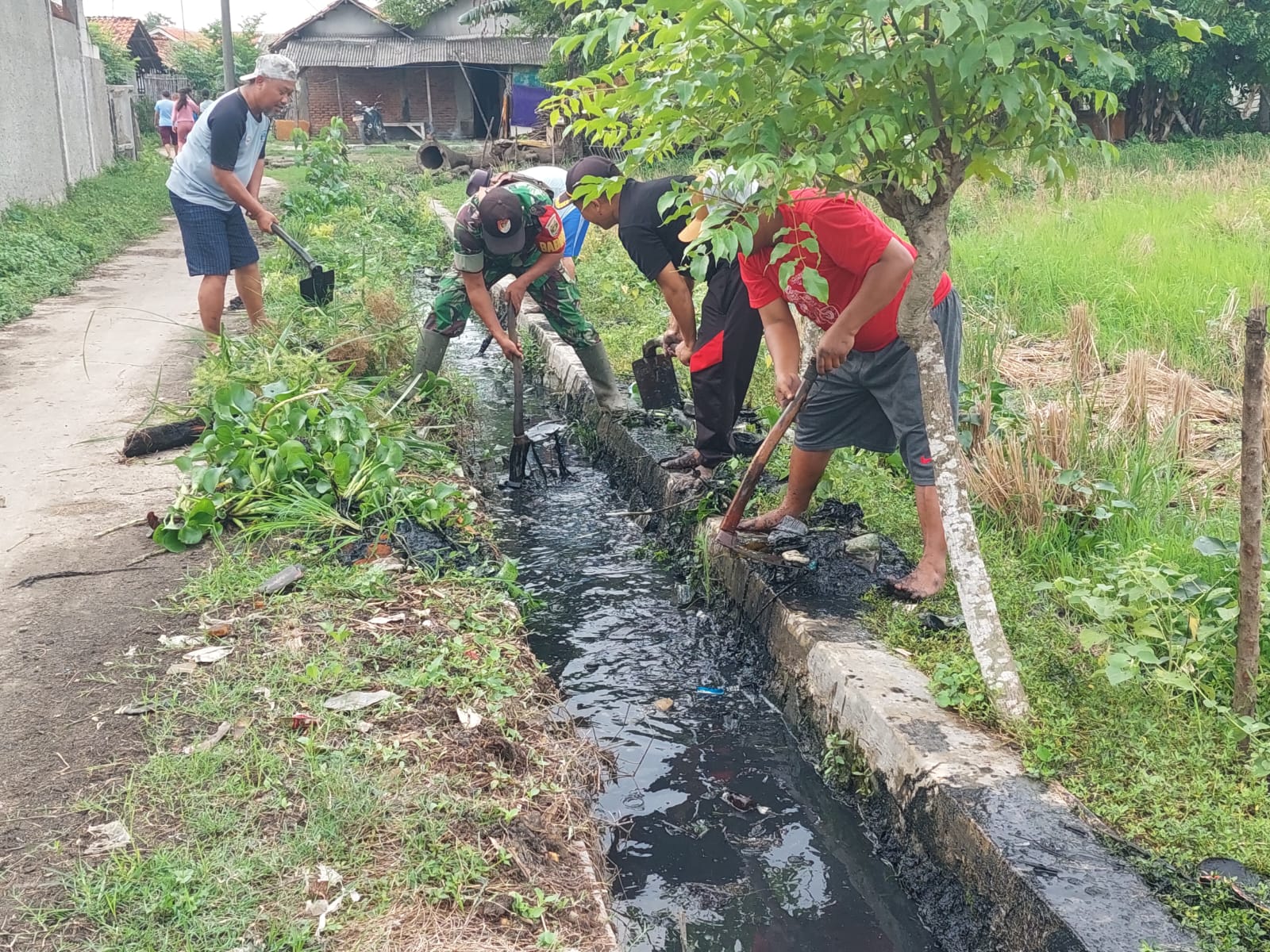 Manunggal TNI AD Bersama Rakyat Babinsa Melaksanakan Kerjabakti 2 IMG 20240115 WA0120