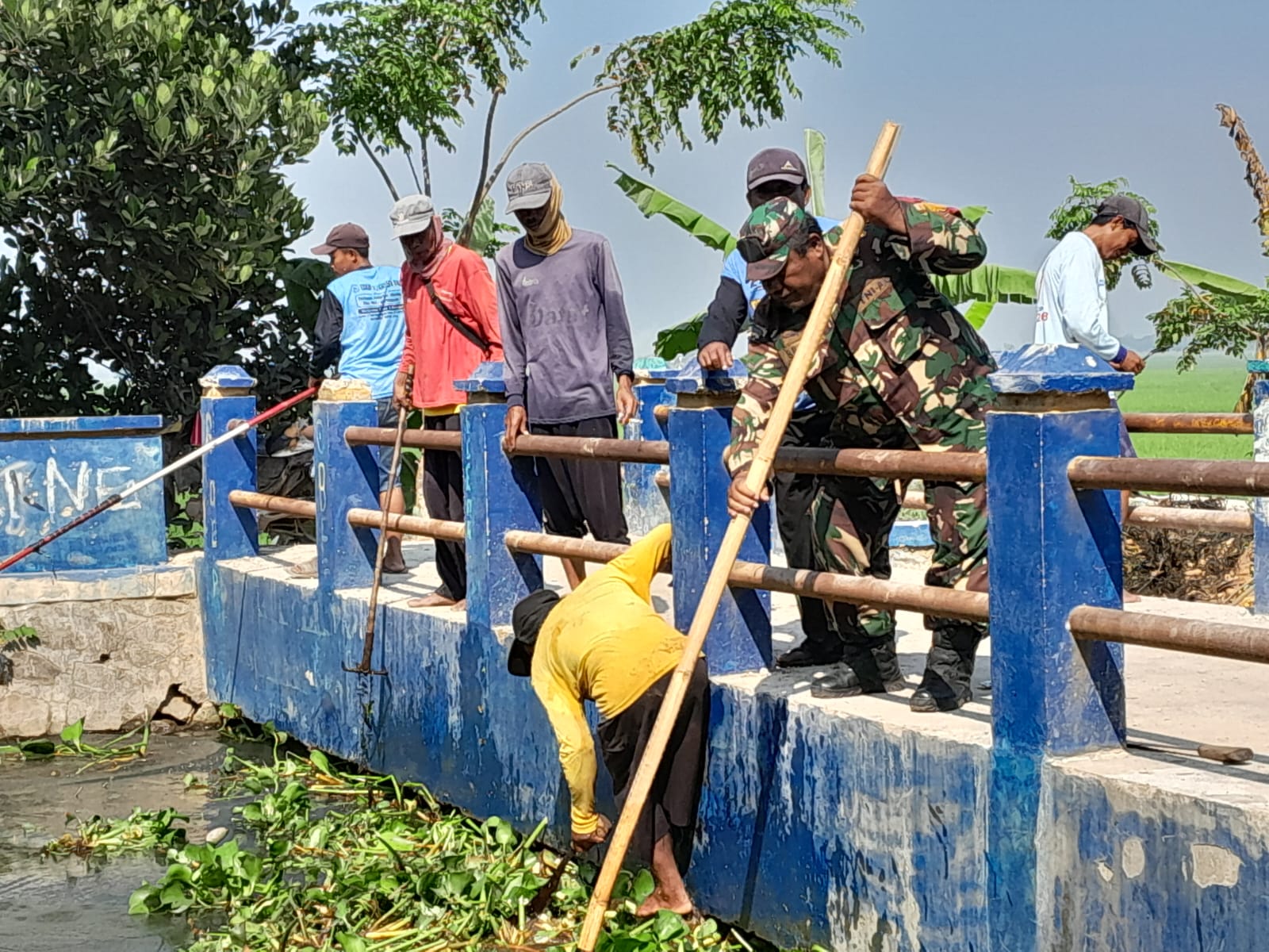 Cegah Tumpukan Sampah dan Eceng Gondok Babinsa Berjibaku Bersama Warga - Semoga Terealisasi Baik Dan Terus Meningkat Sejahtera 2 IMG 20240517 WA0024