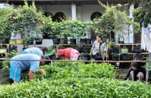 Picsart 24 07 06 08 53 03 552