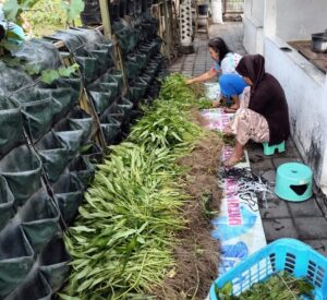 Picsart 24 07 06 10 36 25 400