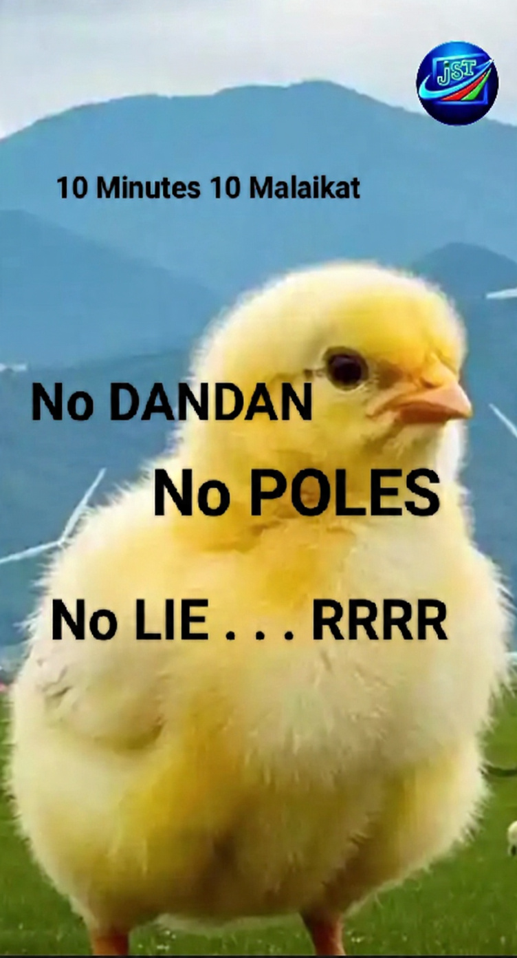 anak ayam sebagai edukasi