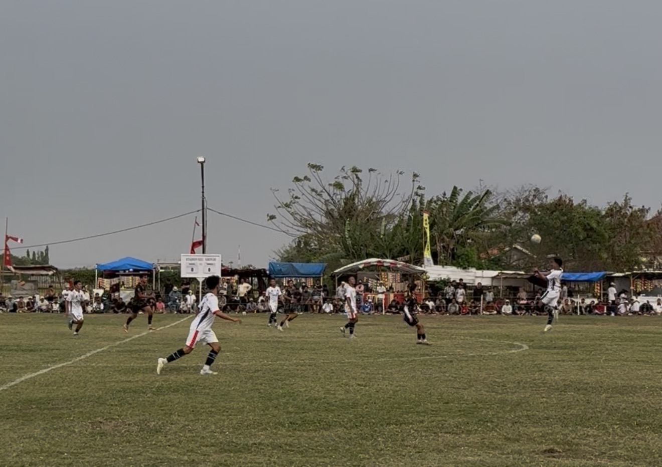 IMG 9274